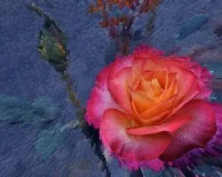 Rosa irreal