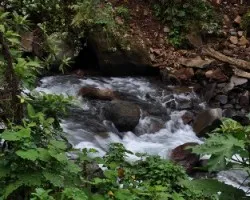 Río La Paz I