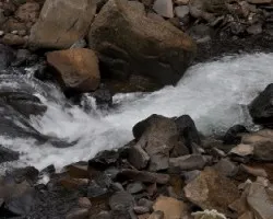 Río La Paz II