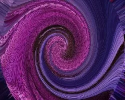 Fue una rosa