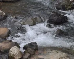 Río cera de los Cusingos