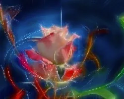 Rosa II