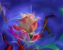 Rosa III