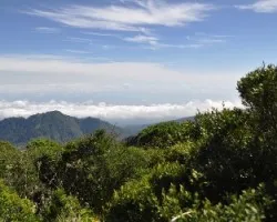 Montañas y nubes III