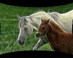 Caballos II