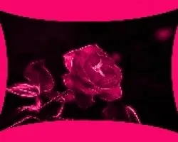 Rosa I