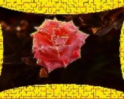 Rosas II
