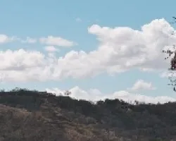 Nubles para un bosque Seco II