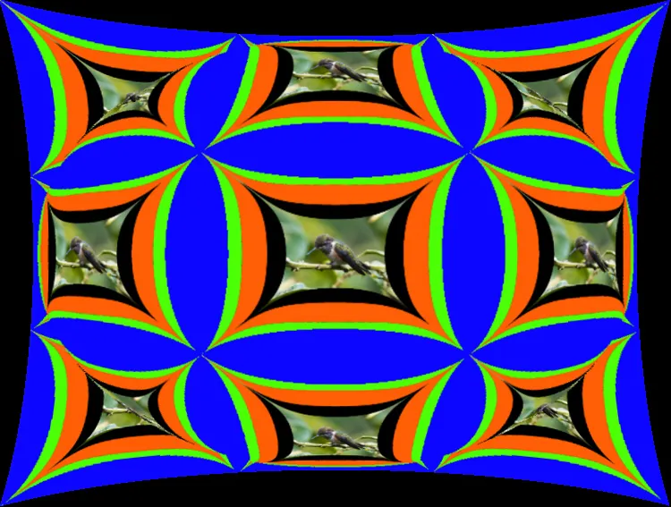 Foto