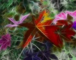 Fractal de hojas de higuerilla