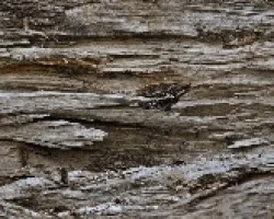 Textura 2
