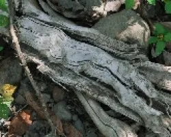 Textura 3
