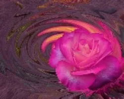 Rosa 15 Años