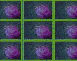 Collage de Rosas 3D
