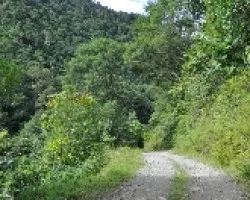 Caminito III