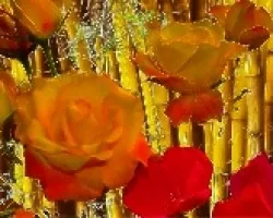 FELIZ CUMPLEAíâ€˜OS CHUSCARMEN