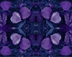 Primer reflejo