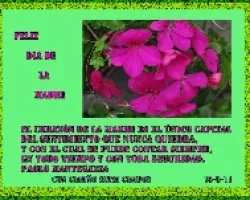 FELIZ DIA DE LA MADRE