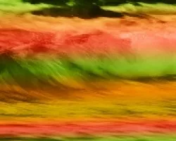 Imitando al Arco Iris  I