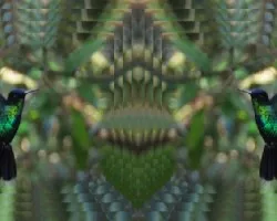 Colibrí en vuelo-fractal y duplicado