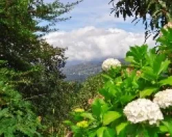 Paisaje en Talamanca