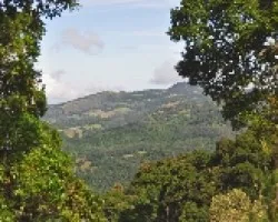Paisaje en Talamanca II