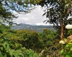 Paisaje en Talamanca III