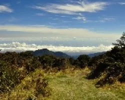 CaminitoI