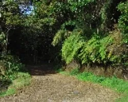 Caminito II