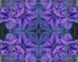 Un ligero toque de Delicadeza I