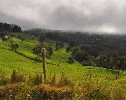 Campos entre Alajuela y Heredia