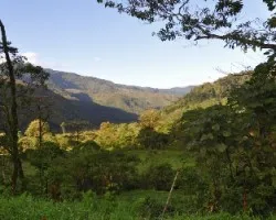 Campos y montañas por Tapantí