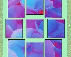 Florescitas de una hortencia
