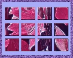 Lirio en mosaico