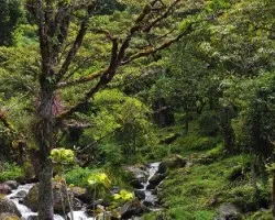 Paraíso Providencia I
