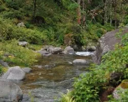 Paraíso Providencia III