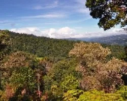 Mismo paisaje con correcciones selectivas