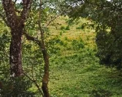 Rincón II