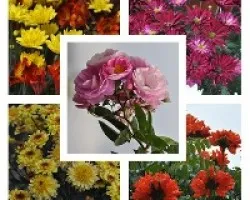 Mosaico de Flores