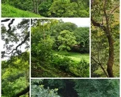 Paisajes de Anacas
