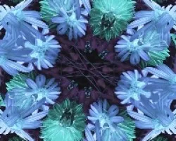 Flores para empezar el Mes de Diciembre