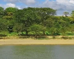 Un Río cerca de San Vito, Coto Brus