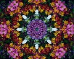 Calidoscopios de flores III