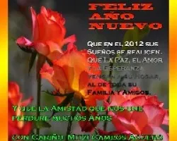 Tarjeta de Años Nuevo 2011-2012