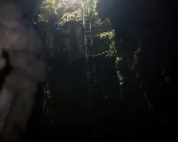 Caberna Barra Honda
