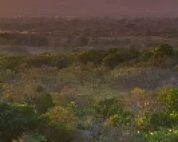 Guanacaste