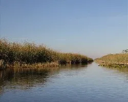 La Florida EVERGLADES