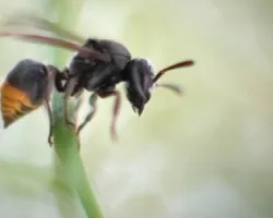 Emprendiendo el vuelo