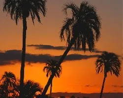 Atardecer en El Palmar