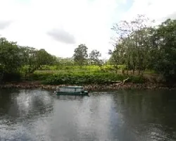 Puerto Viejo de Sarapiquí
